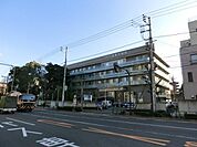 浅草寺病院 240m