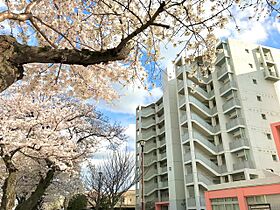 URアルビス前原  ｜ 千葉県船橋市前原西6丁目（賃貸マンション2DK・3階・49.17㎡） その21