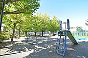 イチョウ公園