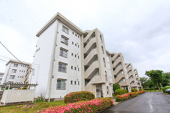 UR都市機構千葉ニュータウン原山団地3—8—13_トップ画像