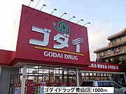 ゴダイドラッグ青山店まで1000m
