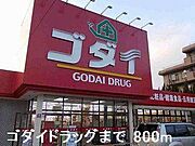 ゴダイドラッグまで800m