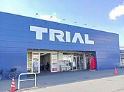 トライアルまで550m
