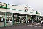 Ａコープ・玉手店  850m
