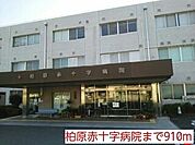 柏原赤十字病院まで910m