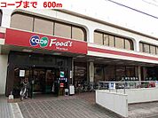 コープまで600m