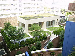 植栽豊かなデザイナーズマンション