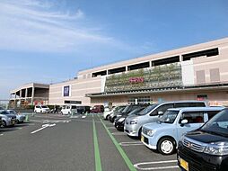 イオンモール(650m)