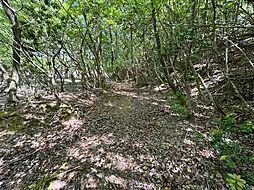 物件画像 美祢市山林