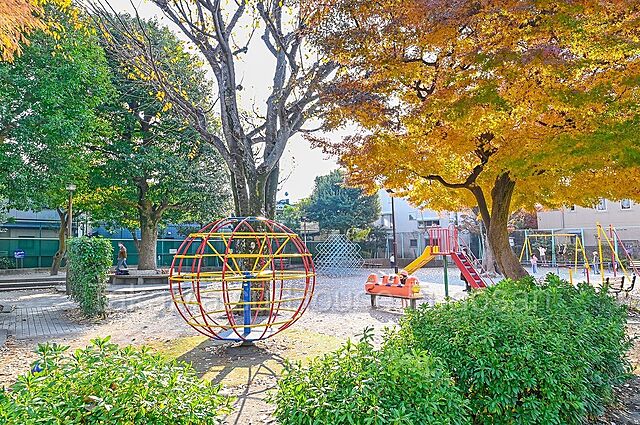 周辺 駐車可能な専用庭付　南東角住戸　ペット可　豪徳寺ハイム　1F 1階/-