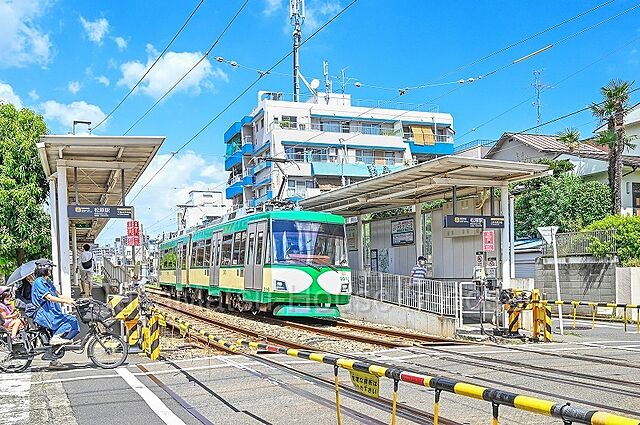 周辺 駐車可能な専用庭付　南東角住戸　ペット可　豪徳寺ハイム　1F 1階/-