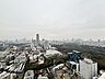 その他：高層階からの景色は、周辺のビル群や緑地、公園まで見渡すことができます。
