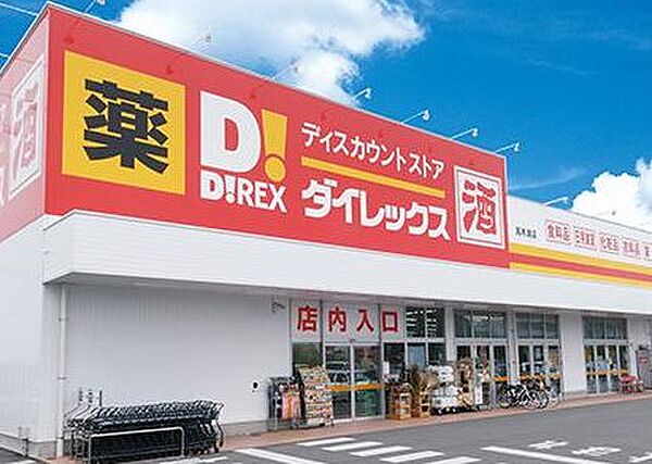画像29:【ディスカウントショップ】ダイレックス小松島店まで1233ｍ
