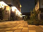 デザイナー監修の植栽計画