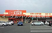 ザ・ビッグ中原店（2201m）