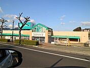 サニー森林都市店（835m）