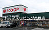 周辺：FCO・OP新宮店（1002m）