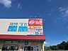 周辺：スーパー 3300m ロピア 八王子みなみ野店