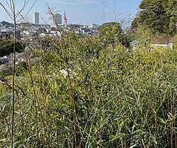 物件画像 県立大学