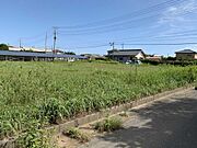 西北から全景