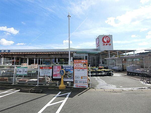 画像8:コメリハード＆グリーン大井店（625m）