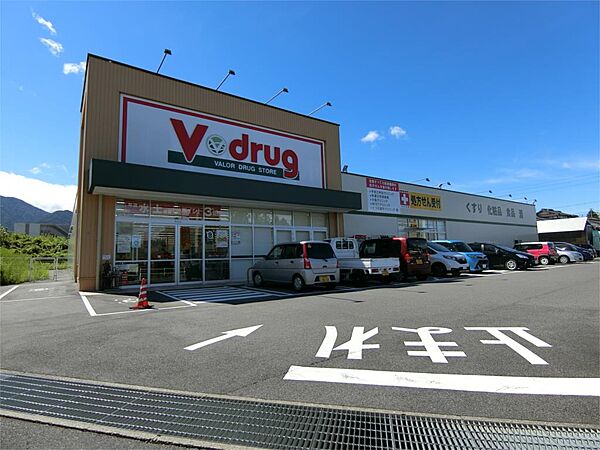 画像21:V・drug（V・ドラッグ） 中津川東店（941m）
