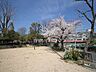 周辺：岩屋公園の外観
