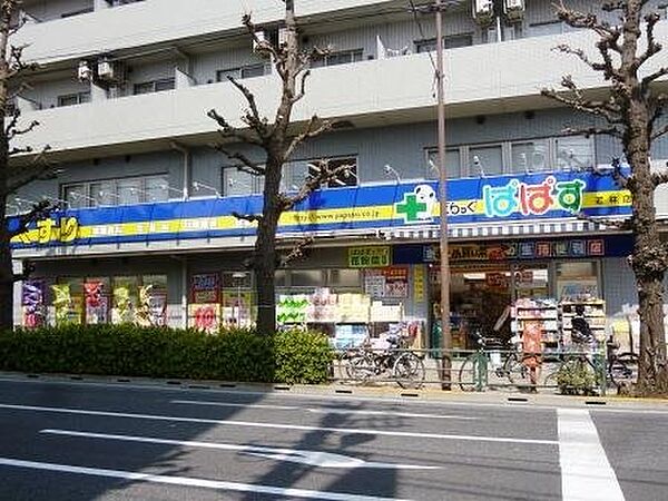 画像19:ドラッグストア 「どらっぐぱぱす若林店まで489m」