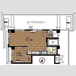 日興パレス渋谷 5階1LDKの間取り