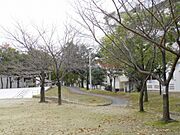 敷地内7