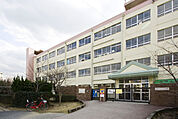 小学校「高槻市立玉川小学校まで617ｍ」
