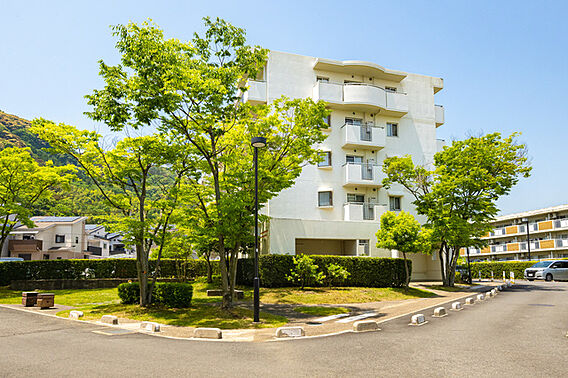 UR都市機構若山台第4団地14号棟_その他_6