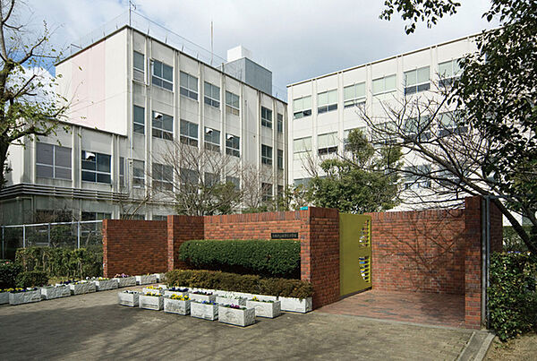 画像4:小学校「大阪市立南港光小学校まで504ｍ」
