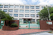 小学校「大阪市立南港光小学校まで590ｍ」