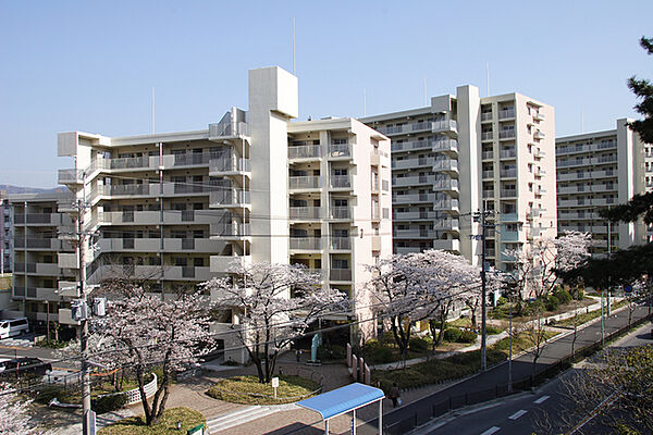 画像6:春には敷地内の桜が咲き誇ります。
