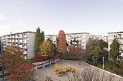 秋には紅葉が楽しめます。