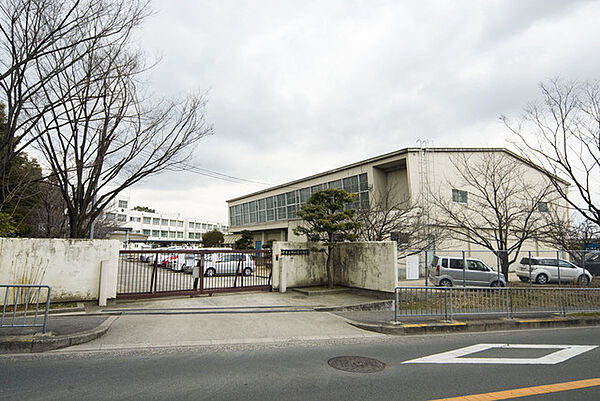 画像17:小学校「堺市立城山台小学校まで715ｍ」