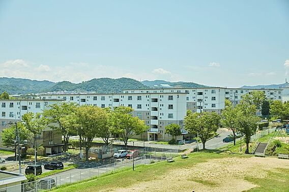 UR都市機構泉南一丘団地70号棟_その他_4