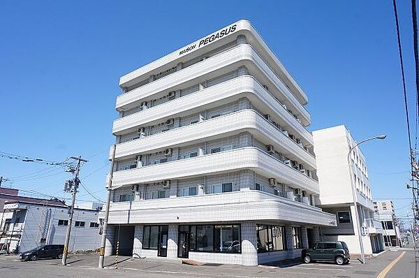 メゾンペガサス 301｜北海道旭川市九条通9丁目(賃貸マンション1DK・3階・44.68㎡)の写真 その1