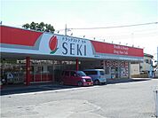 セキ薬品