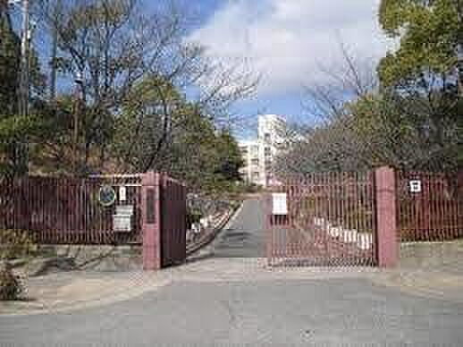 画像18:神戸市立横尾中学校（1403m）