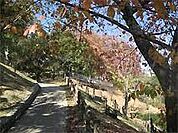 西山公園（738m）