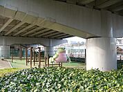天井川公園（596m）