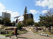 千歳公園（263m）