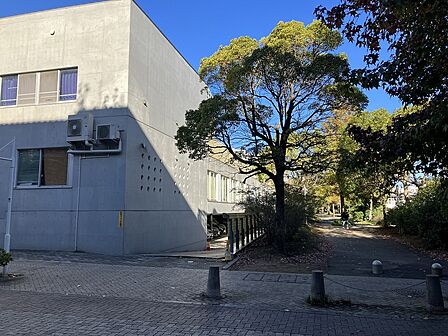 小学校もとてもオシャレです、クラスに壁がないオープンな空間で授業が行われています