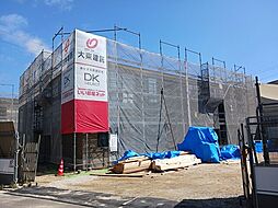 ディーアレオラ