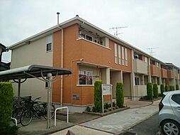 プリムローズA
