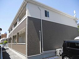 エンジェルハイムパイン