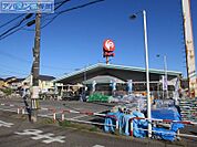 コメリハード＆グリーン西内野店 3861m