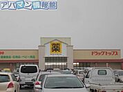 ドラッグ・トップス新津店 435m
